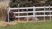 episode 8 abc GIF by The Bachelor