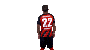 Sticker by Eintracht Frankfurt