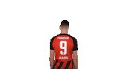 Football Sport Sticker by Eintracht Frankfurt