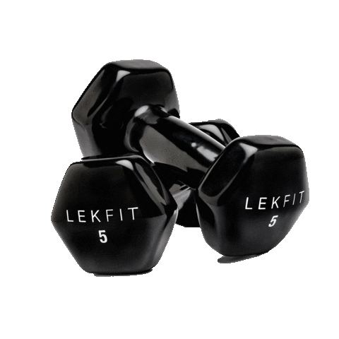 Los Angeles Fitness Sticker by LEKFIT