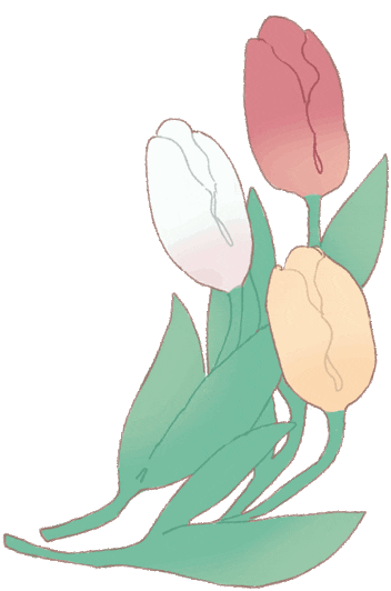 onigiri_salmo giphyupload flower tulip チューリップ Sticker