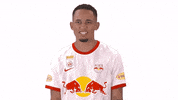Celebration Yes GIF by FC Red Bull Salzburg