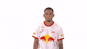 Celebration Jump GIF by FC Red Bull Salzburg