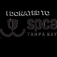 spcatampabay spca spca tampa bay spcatampabay spca largo GIF