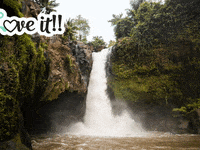 GIF by FranchiseONE.de