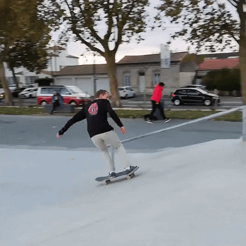 santa cruz skate GIF
