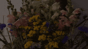 Crazy Eyes Hello GIF