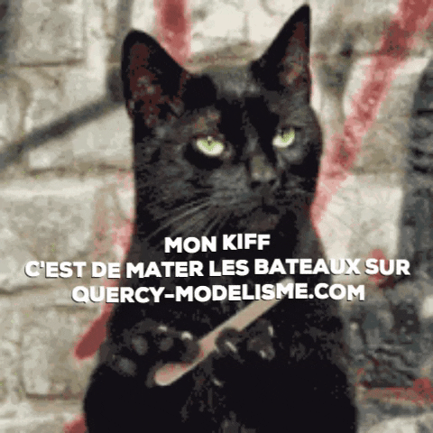 patrickkerverdo giphygifmaker GIF