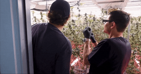 Bloom Andrew GIF by Exclusive Brands