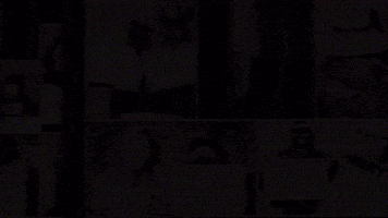 GIF by Tarleton State University