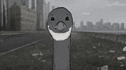 season 1 cats GIF by Animals