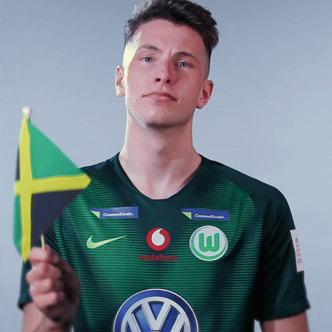 fifa 18 football GIF by VfL Wolfsburg