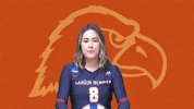 C-N Volleyball GIF by Carson-Newman Athletics