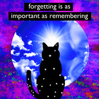 GIF by PEEKASSO