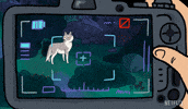 Bojack Horseman GIF by NETFLIX