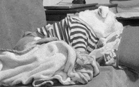 Dog Bulldog GIF by MARDYCOLOR