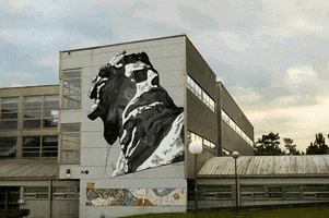 street art loop GIF by A. L. Crego