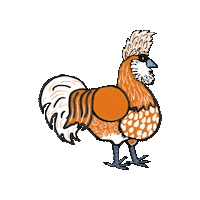 Hahn Sticker