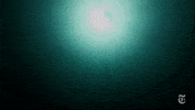 the new york times ocean GIF by NOWNESS