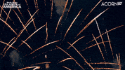 Celebrate Happy New Year GIF by Acorn TV