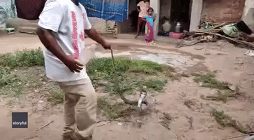 South India Snake Catcher Supplies Serpent With Sips of Water