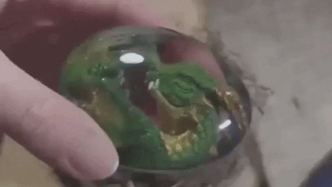 marcelocorra354f giphyupload GIF