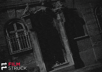 orson welles cat GIF by FilmStruck