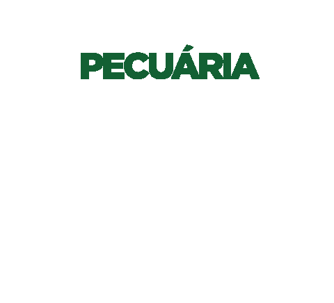 Pecuaria Sticker by Primaza