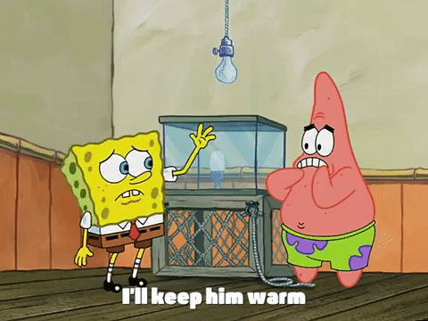 season 3 episode 13 GIF by SpongeBob SquarePants