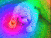 Kitty Acid GIF