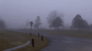 Dense Fog Hangs Over Western New York