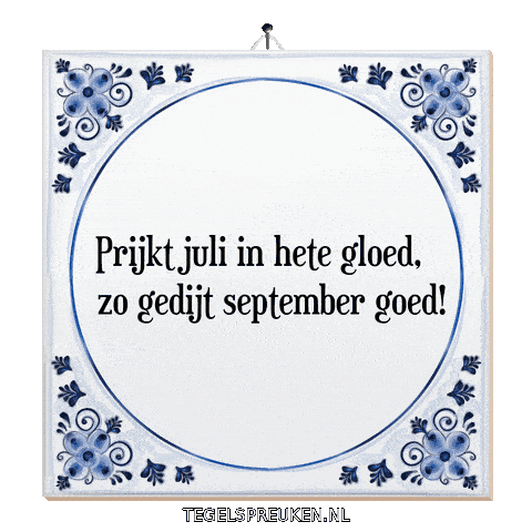 Humor Wijsheid Sticker by Tegelspreuken.nl