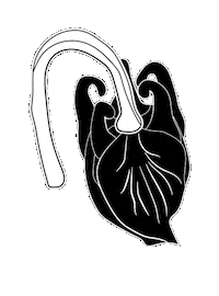 Sticker Flower Sticker