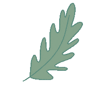 plantificant nature green tree plant Sticker