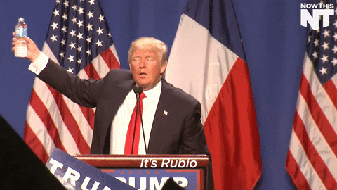 GIF by NowThis 