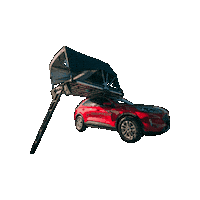 Ford Sticker by INTER-TRADE