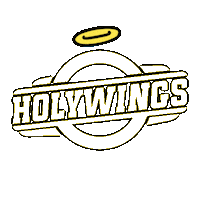 holywingsgroup angel wings holy hw Sticker