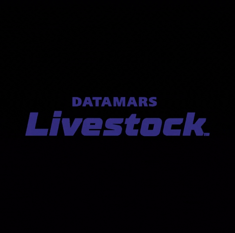 Pecuaria GIF by Datamars Livestock