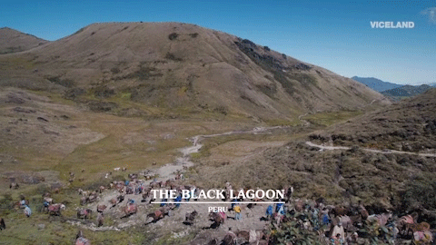 viceland GIF by Hamilton's Pharmacopeia