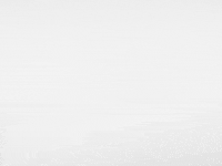 Animation Dog GIF by Jonah Primiano