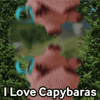 Relax Capybara GIF by TeaCosyFolk