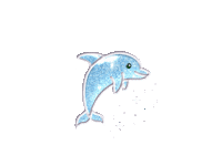allin_511 haobin binhao blue dolphin Sticker
