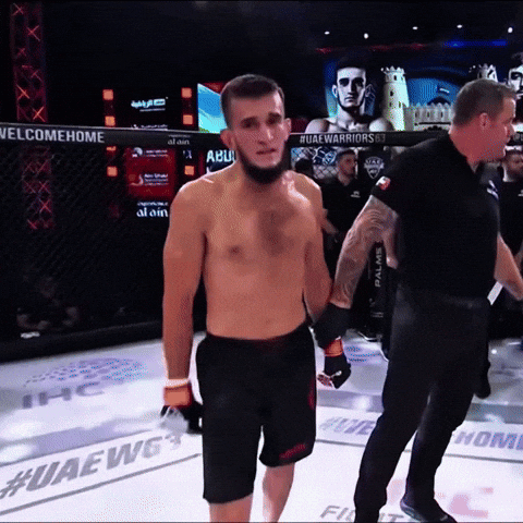 Prince Of Persia Mma GIF
