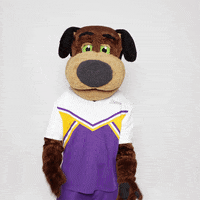 Uwsp GIF by UW-Stevens Point