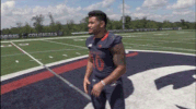 rmuathletics rmu robert morris robert morris university GIF