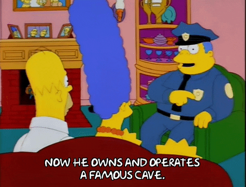 homer simpson episode 25 GIF