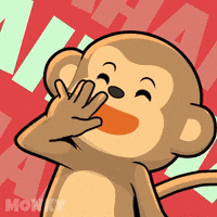 Laugh Omg GIF by Wise Monkey Meme