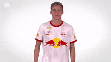 Lets Go Sport GIF by FC Red Bull Salzburg
