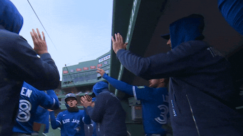 Blue Jays Baseball GIF by Toronto Blue Jays