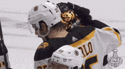 ice hockey hug GIF by NHL